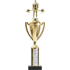Cup Series Round Column Trophy