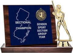 Softball Sectional Champion Award, Cherry Finish Styled Replica