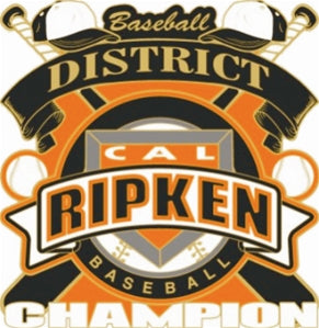 Cal Ripken National Baseball District Champion Pin