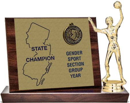 Volleyball State Champion Award, Cherry Finish Styled Replica