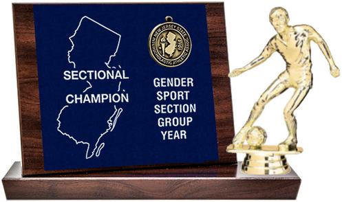 Soccer Sectional Champion Award, Cherry Finish Styled Replica