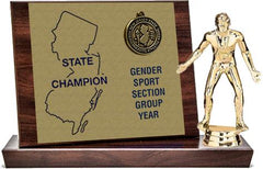 Wrestling State Champion Award, Cherry Finish Styled Replica