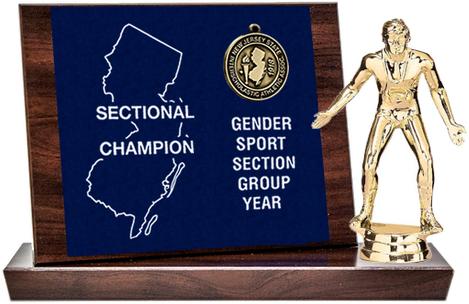 Wrestling Sectional Champion Award, Cherry Finish Styled Replica